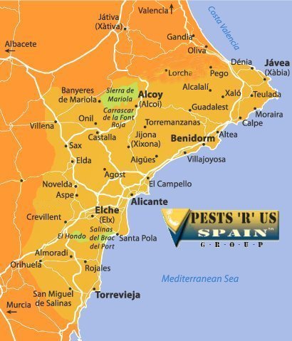 Pest Control Costa Blanca
