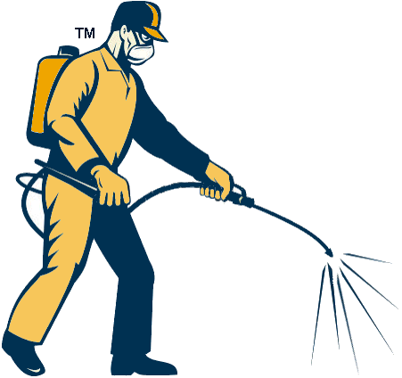 Pest Control Costa Blanca. Pest Control Services