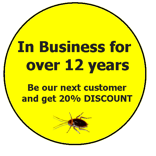 Whats What Search Engine